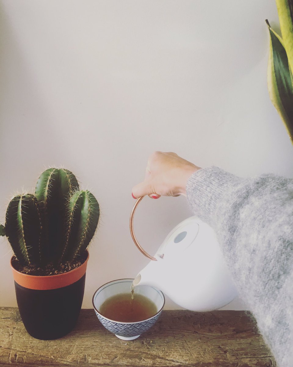 Het is echt heel erg thee weer nu! Wij drinken een klassieke donkere thee uit China! #no011 #zhengshan #herfstindezomer