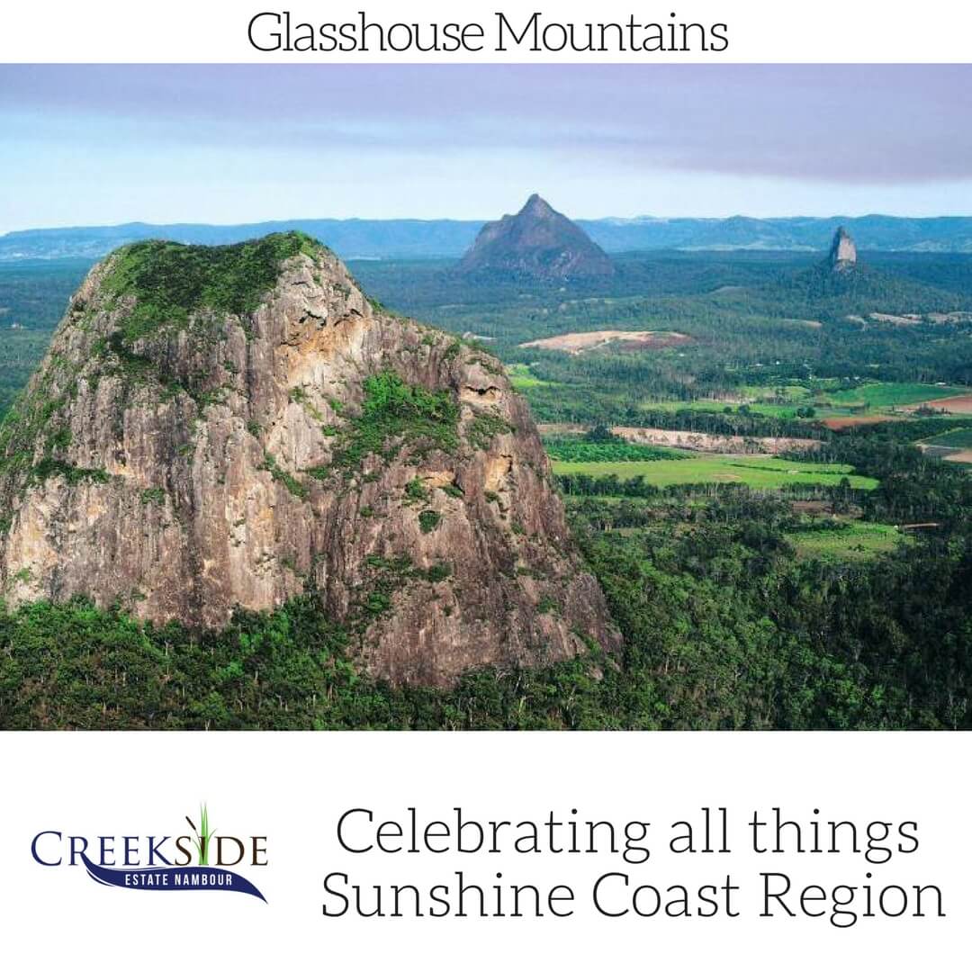 Creekside_Home's tweet image. Celebrating all things #SunshineCoast - just a skip or a jump from Creekside Estate #Nambour. #GlasshouseMountains