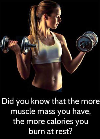 fitcircleapp's tweet photo. Ask r Nutrition Experts all ur Diet related Querys for FREE - https://t.co/CghEtIYr27
#DidYouKnow #musclemonday #fitness #fitfam #gym #fact https://t.co/IWIFy4cJ0t