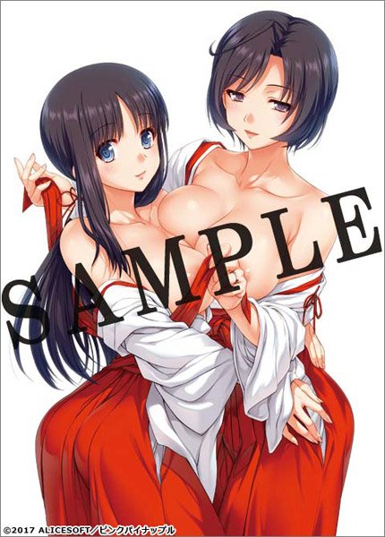 妻みぐい3 夏樹海夕里 みゆり編☆原画集1】黒田晶見 イラスト 砂夜子 ...