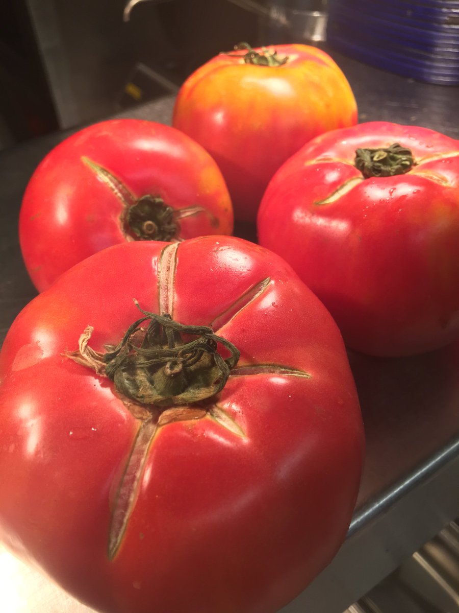 Best tomatoes you have ever tasted? Come try our <a href="/Natoora/">Natoora</a> Vesuvio beauties at Denmark St today. £4.