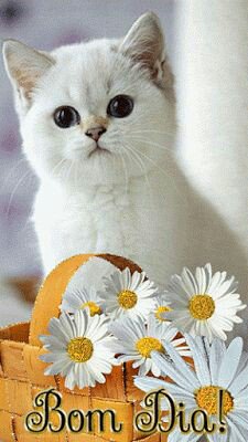 #bomdia 
#betaseguebeta 
#betalab 
#RT 
#SDV 
<a href="/Elizanrla/">Eliza</a> 
<a href="/Th0mTh0m/">🇹​🇭​🇴​🇲​</a> 
<a href="/mariaBetaRtSdV/">Maria Beta Lab🎀👑😉</a> 
@Elioeneleonarda <a href="/MykelSantana/">TheBarbie</a>