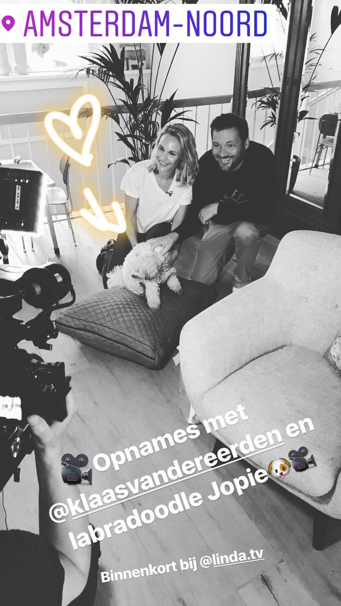 En vandaag draaien we met deze leukerds 🎥🐨🐶🎥 @LINDAtv_online