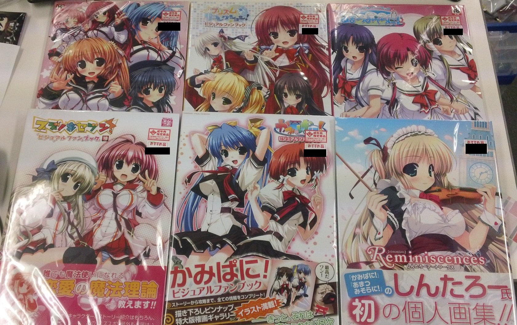 プリズムリコレクション(ファンブック付き)