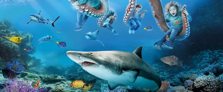 Cette semaine RFM côte d'Emeraude gagnez des multi pass pour profitez du <a href="/GrandAquarium/">Grand Aquarium</a> st Malo et de Cobac Parc à Lanhélin dans le 13/17 !