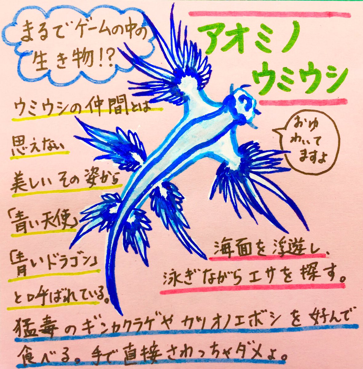 職員室の坂本さん En Twitter まるでrpgに出て来そうなフォルム ﾟ ﾟ アオミノウミウシ美しすぎるっ 猛毒のクラゲを食べその刺胞を武器として使うので 見つけても素手で触っちゃあかんやつ 綺麗な薔薇には棘があるのね 水族館 イラスト 天使 ドラゴン