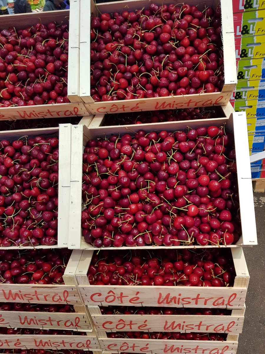 EdBowersBurbank's tweet photo. I love this time of year. As my old man would have said, 'life's a bowl of cherries!' #LABOC https://t.co/g7I4xi1iE1