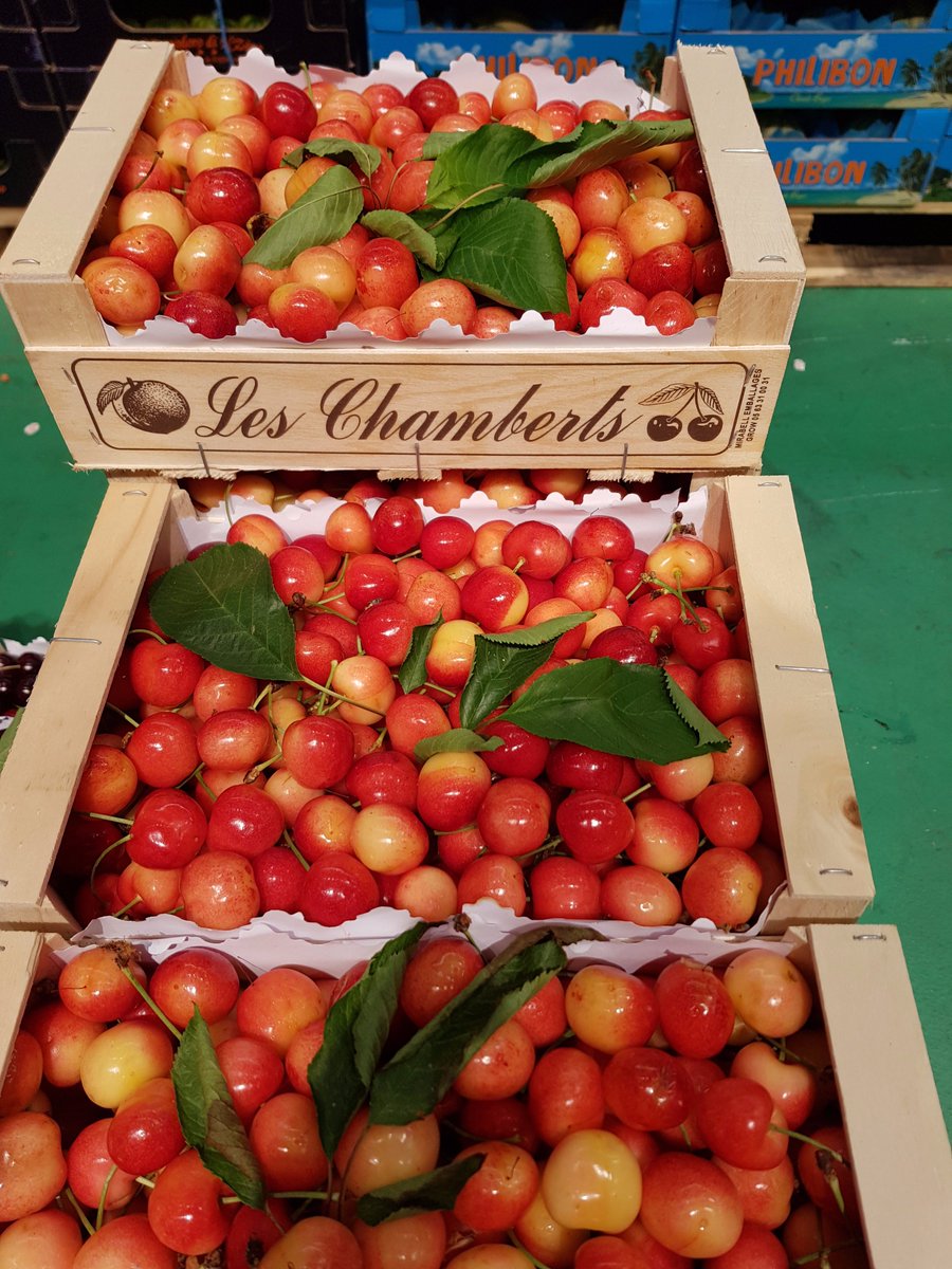EdBowersBurbank's tweet photo. I love this time of year. As my old man would have said, 'life's a bowl of cherries!' #LABOC https://t.co/g7I4xi1iE1