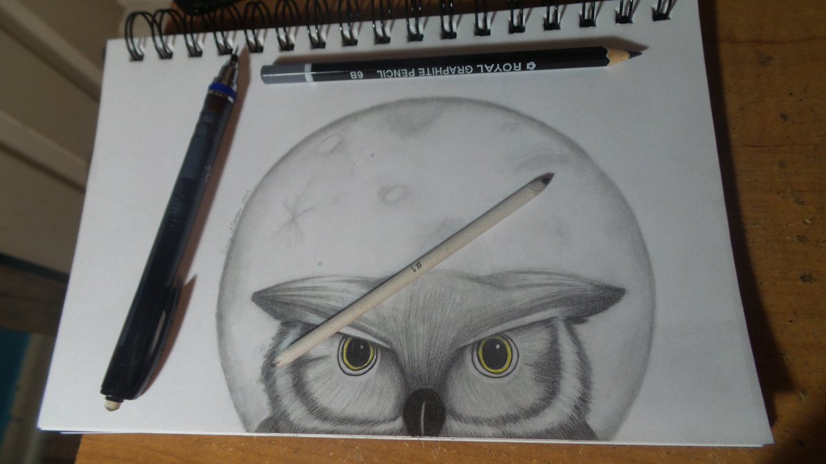 #drawing #kurutoga #pencil #sketch #graphite #graphitedrawing #owl #bird