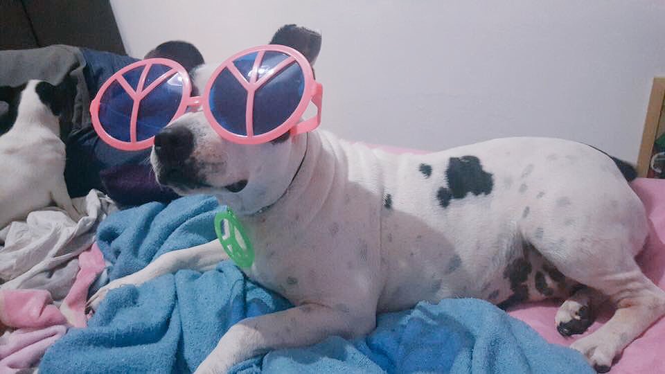 Luna hace de todo para que te enamores de ella.. Pero no lo hacen