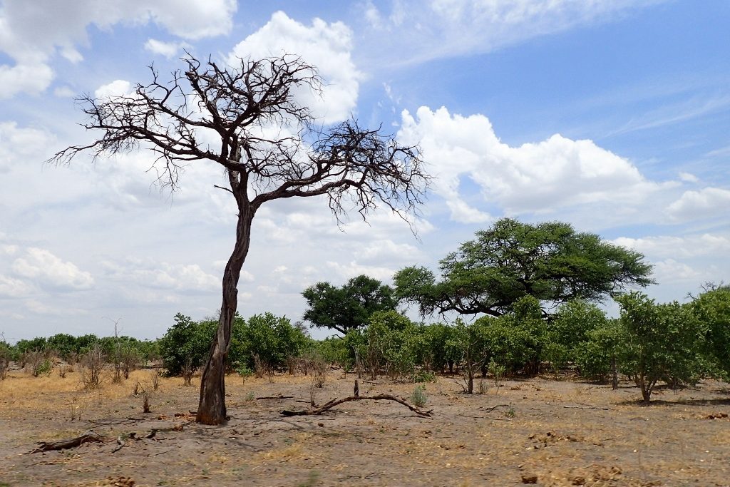 #Biomimicry is Hard. It's True. But so worth it. thinkbiomimicry.com/2017/06/06/bio…