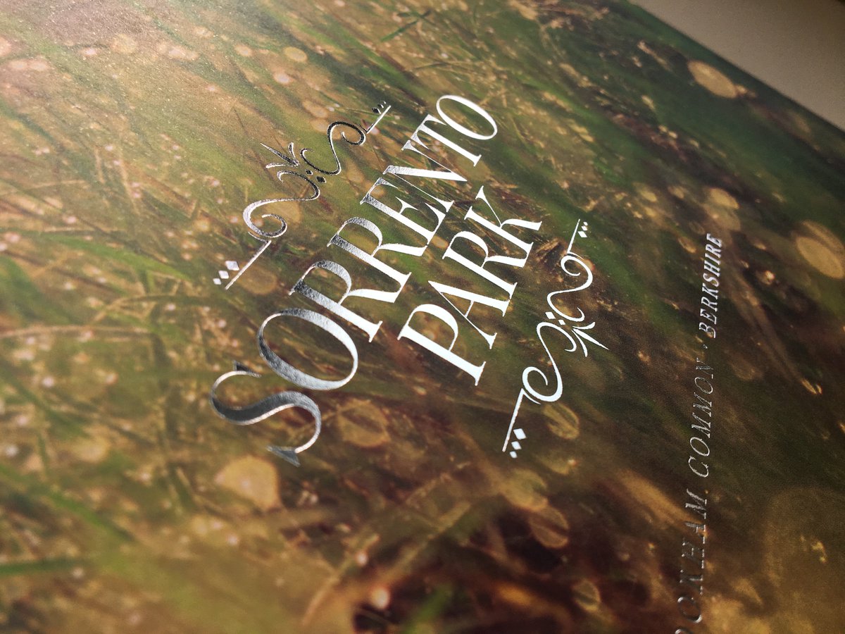 freshlemonuk's tweet photo. New property brochure for Sorrento Park on behalf of @RelicHomes #designbyfreshlemon #propertymarketing #crookhamcommon https://t.co/Dfph6gnskM
