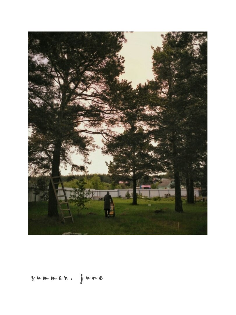 KickAss31072000's tweet photo. Люблю это место💕 https://t.co/Vbhj6pHkHB