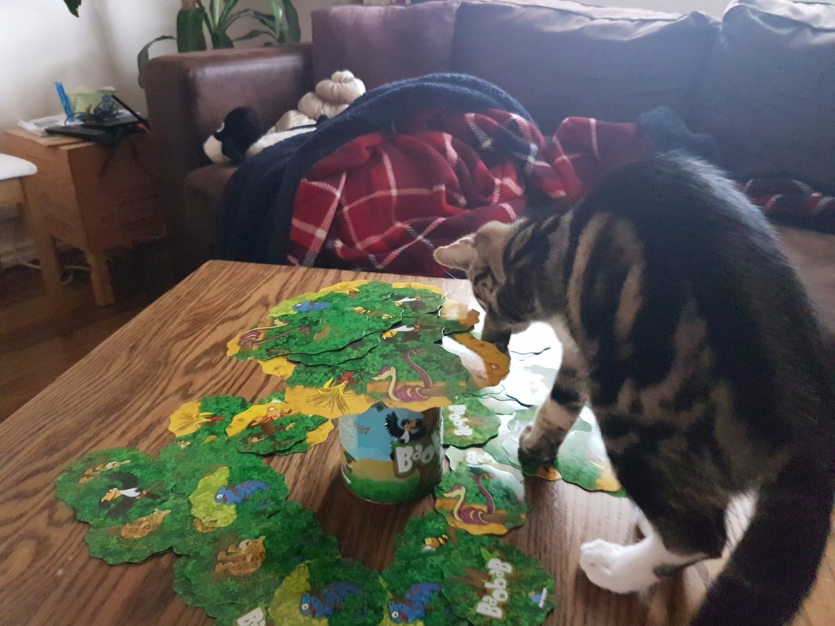 Brenda Day tweet media