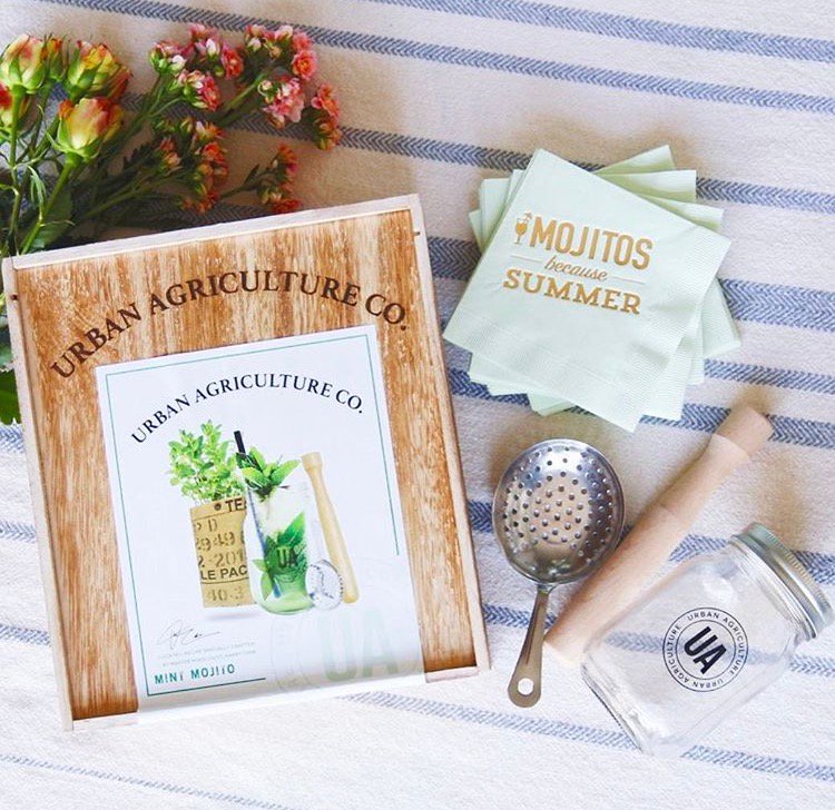 CrowdersGifts's tweet photo. When you grow your own mint, it’s mojito time any time. @UrbanAgriCo https://t.co/kOIglu3xaF