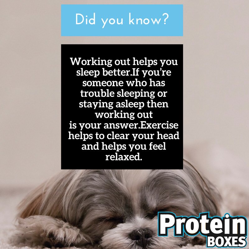 protein_boxes tweet picture