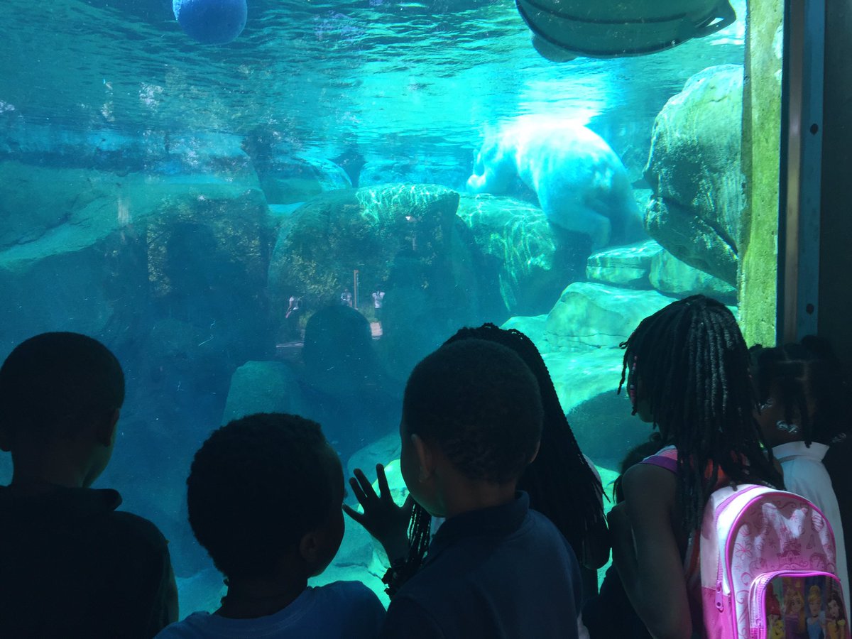 MsZelmans_Class's tweet photo. Thank you @marylandzoo for a great visit! #Lakeland12 https://t.co/QScopKYCpr