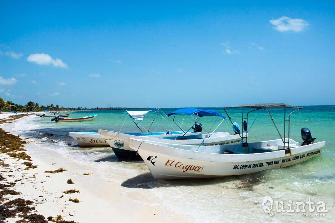 Quinta Magazine tweet media