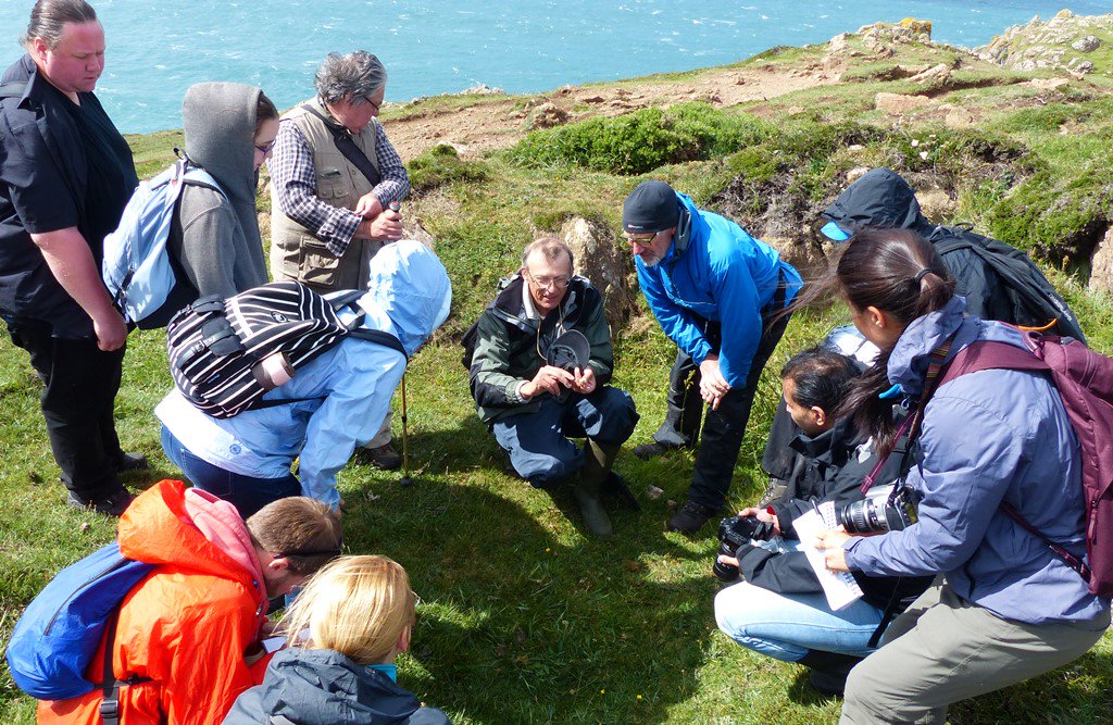 readingbotany's tweet photo. Great morning with #ColinFrench & #RichardCarter @BSBIbotany recorder Caerthillian Cove #Cornwall #BotanyBus @j11p43f @AliALZa02901299 https://t.co/7H0OzqCRov