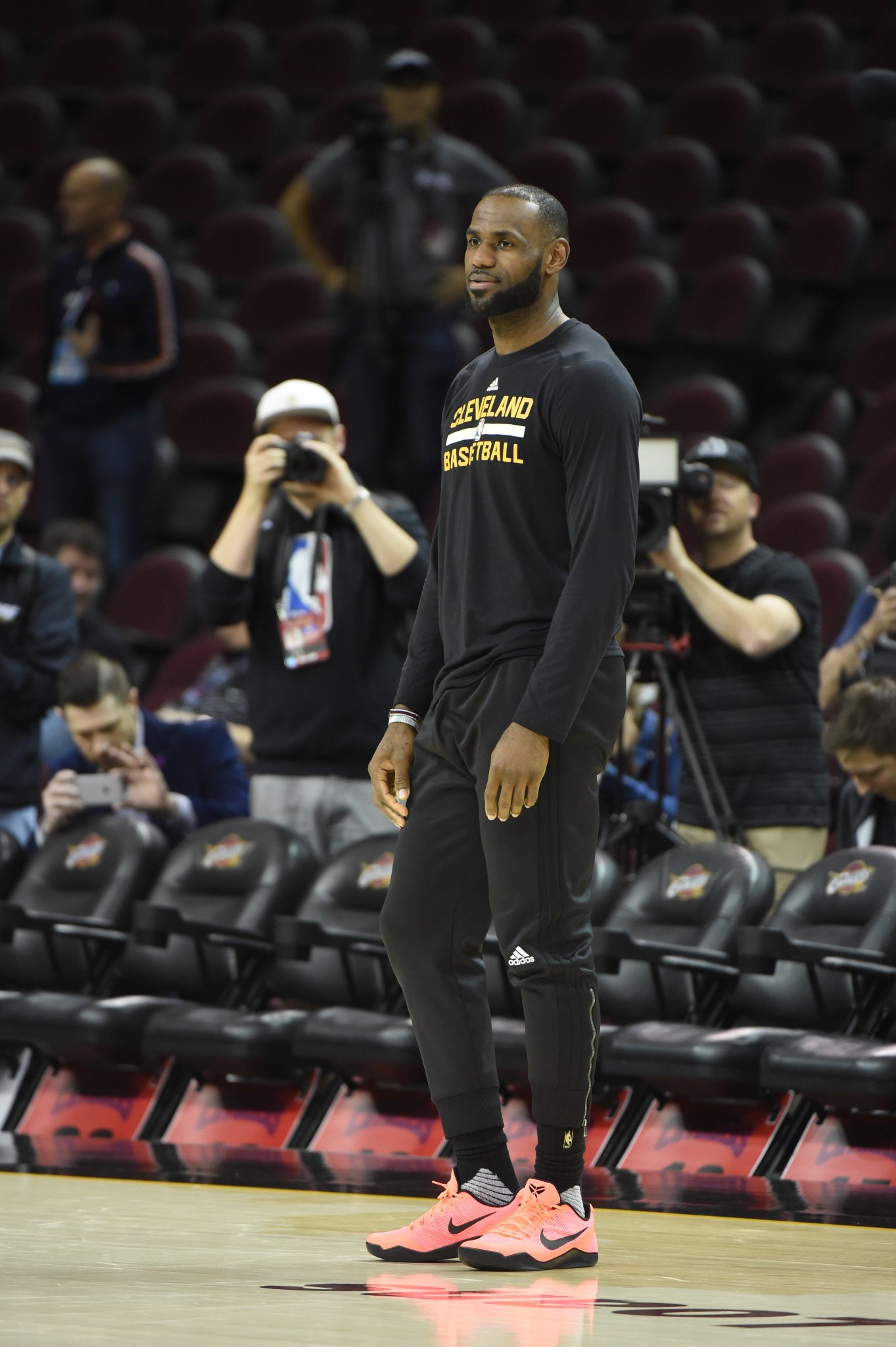 lebron james kobe shoes