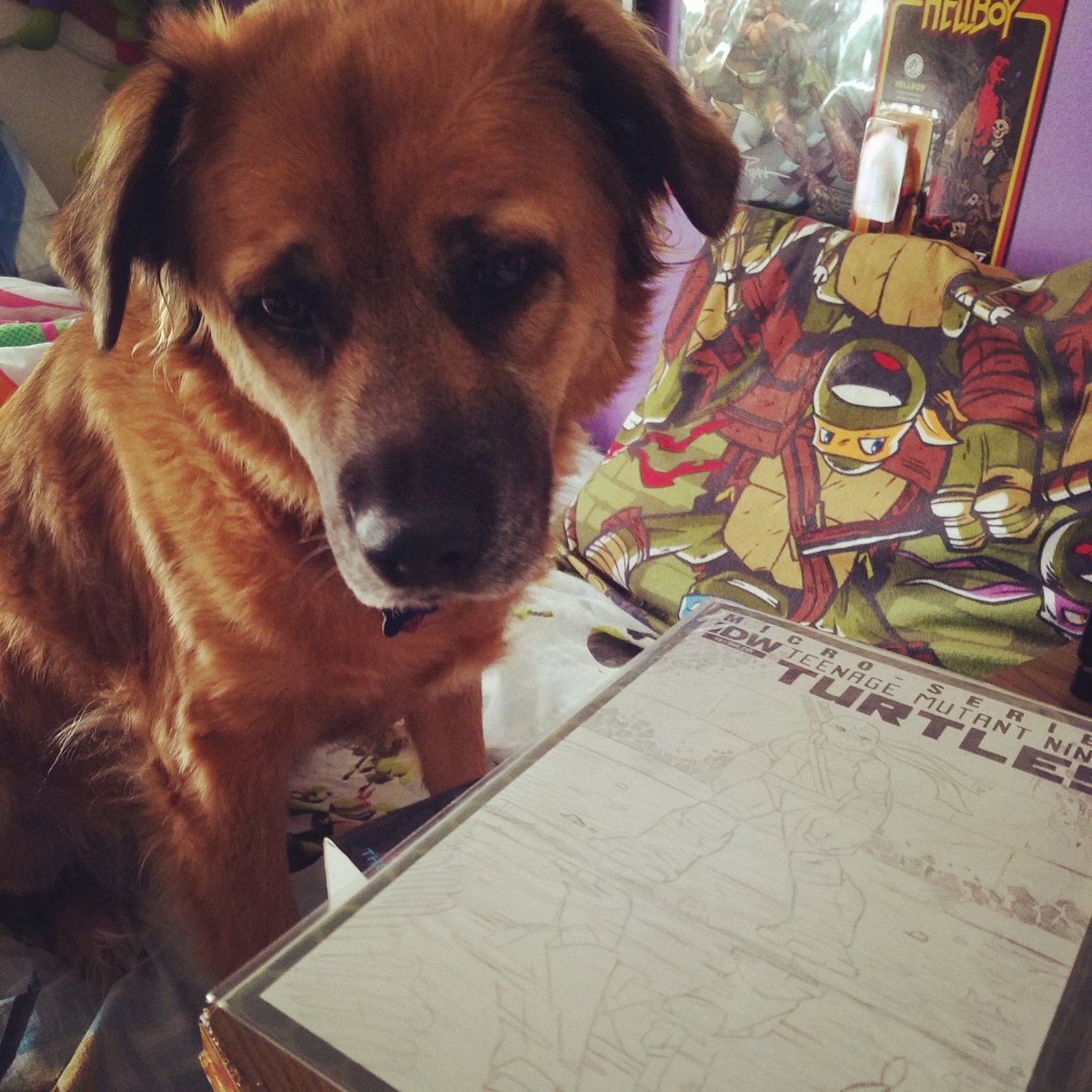 Working on another blank comic cover commission and remi is supervising! ❤
#tmnt #blankcomic