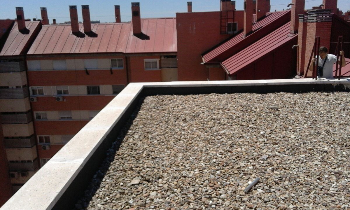 Emvertical tweet picture