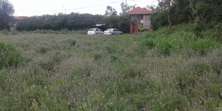 afrihome's tweet photo. 5 Acres Of Prime Land For Sale In Karen  along Silanga road in a private residential area.

PRICE KSHS 60M per acre

CALL +254706801784 https://t.co/wcDpAYrxs8