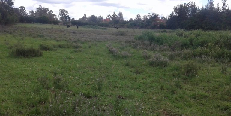 afrihome's tweet photo. 5 Acres Of Prime Land For Sale In Karen  along Silanga road in a private residential area.

PRICE KSHS 60M per acre

CALL +254706801784 https://t.co/wcDpAYrxs8