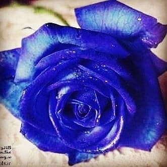 b7d84c2041d24d8's tweet image. 