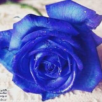 b7d84c2041d24d8's tweet image. 