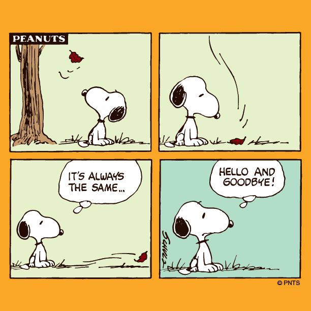 Dopo sette anni e mezzo, <a href="/404_FNF/">404: file not found</a> chiude.

È triste quando finisce un progetto così. Solo #UnaFrase, per dirvi grazie.