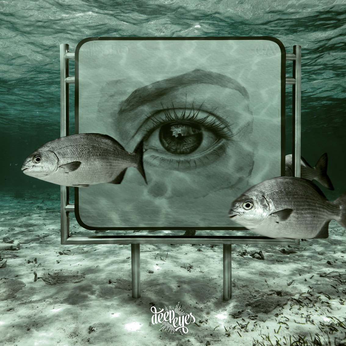 DeepEyesProject's tweet photo. Queremos abrir la primera galería submarina para la protección del mar en América del Sur. Síguenos https://t.co/PcAHnnWqNi #DeepEyesProject https://t.co/GiYu483MMP