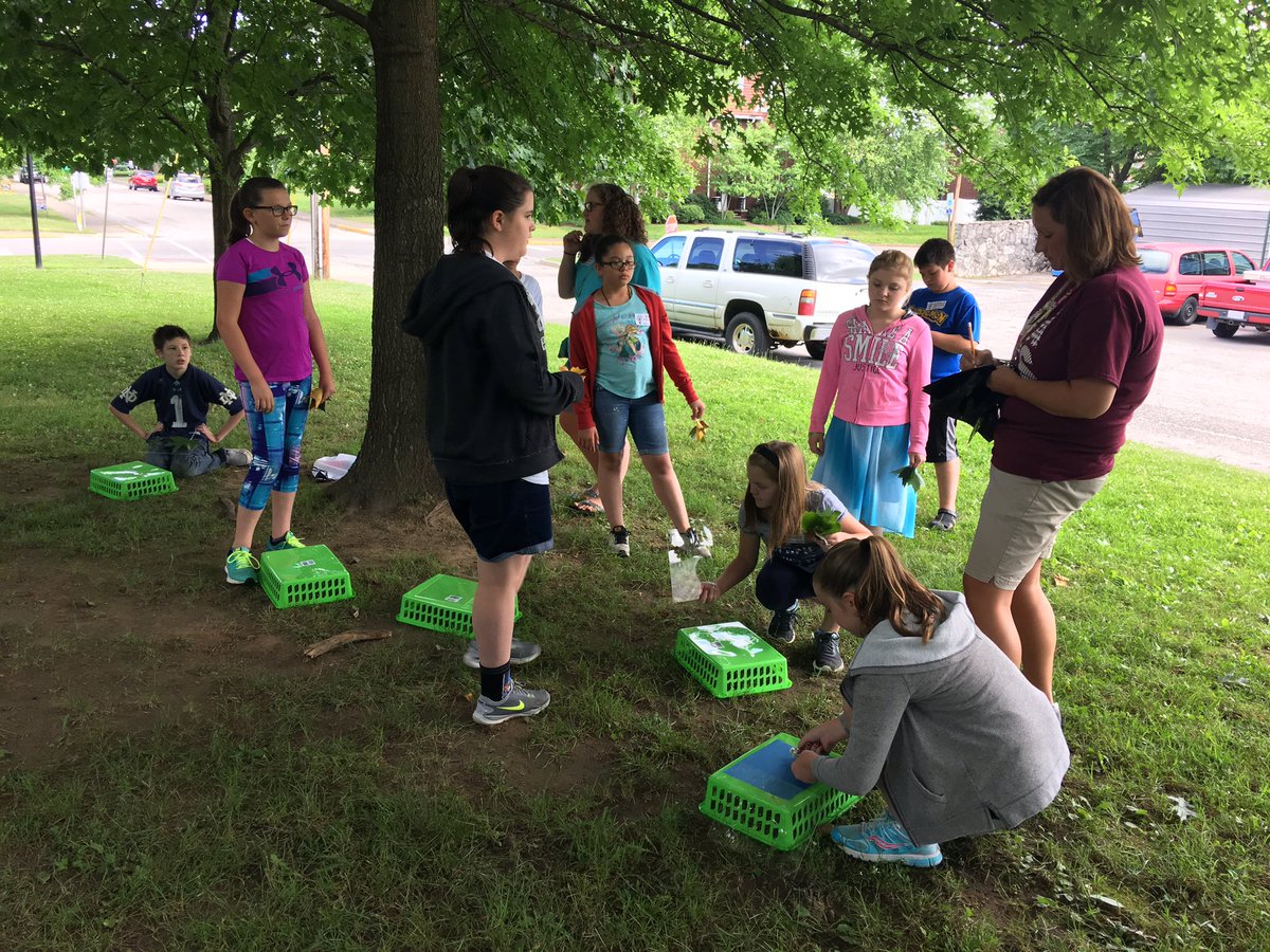 Ashland_Schools's tweet photo. Solar power is the energy source of the day in Artistic Forces class. #AISD #AshlandCTC #ProjectIgnite #SummerStemLearning https://t.co/Jk9lYPuDOH