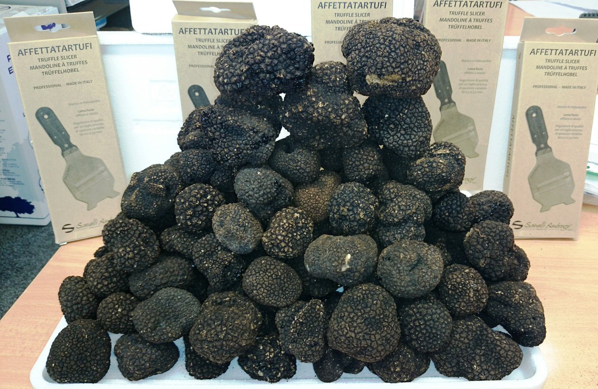 snufflingswine's tweet image. Coming soon the Calgary. Italian, French, and even Spanish Truffles.  #truffles #summertruffles #truffeproducts #yyctrufflesupplier