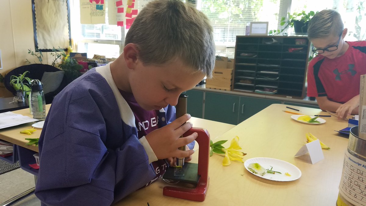 jtsdnixa's tweet photo. Huge thank you to our K-2 teachers for showcasing their learning this morning. #steamunixa https://t.co/n1OQikwf4G
