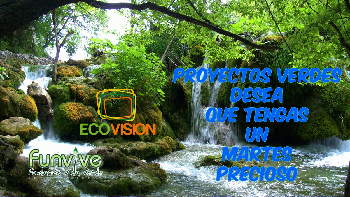 Proyectos Verdes tweet media