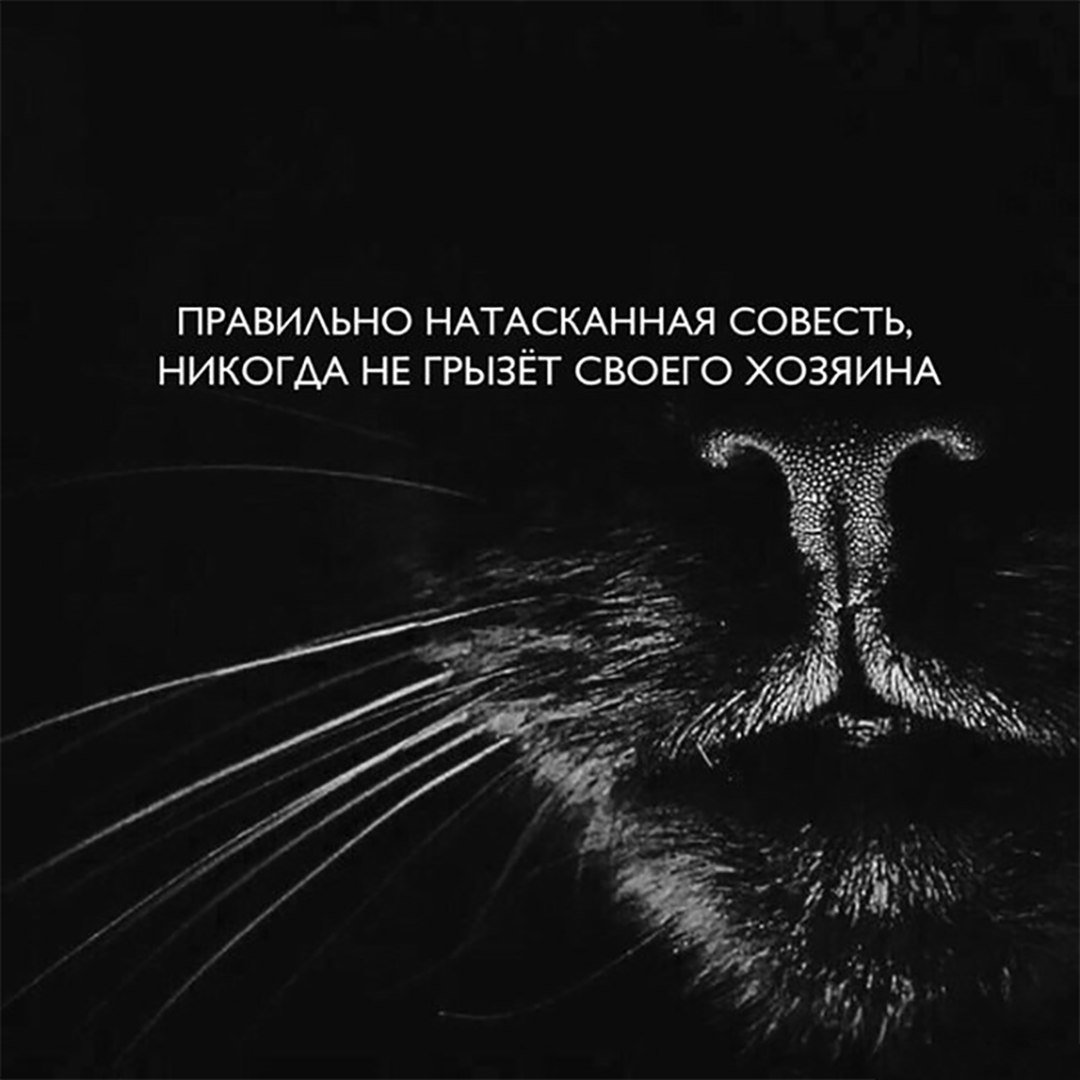 Разрыхлитель Мозгов™ (@crazy_kutas) on Twitter photo 