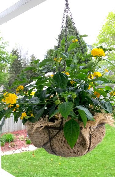 GardenBite's tweet image. #creativecontainers on #GardenBite burlap baskets gardenbite.com/2017/06/06/mak…