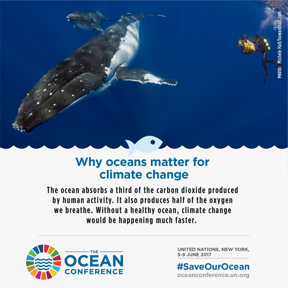 UNFCCC's tweet photo. #ClimateAction is essential to protect the world's oceans! https://t.co/1Q6HnZKEOe #SaveOurOcean https://t.co/Yc8pCcYXEs