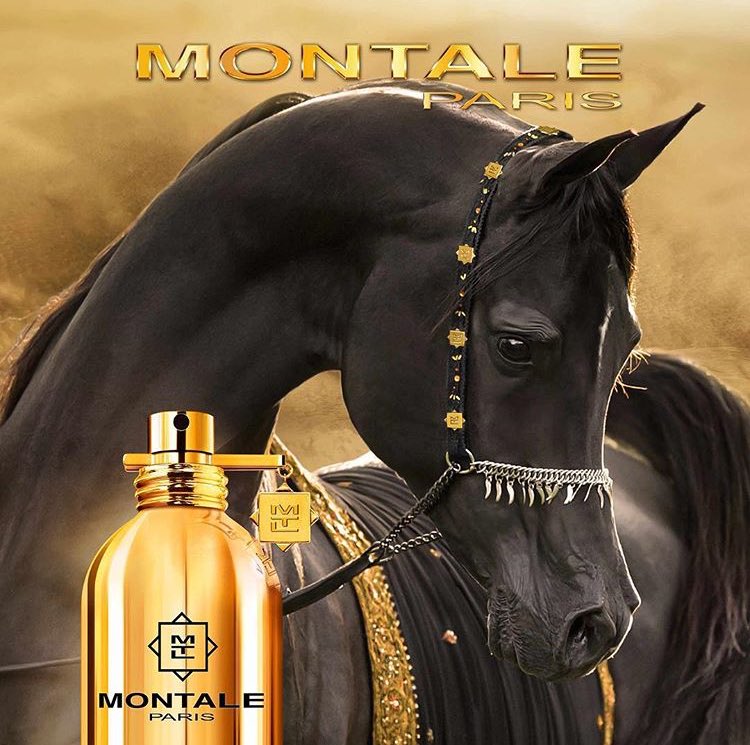 Another EXCLUSIVE perfume is at our Parisian Shop! Come discover our new secret fragrance inspired by the King of the Desert👑#montale #paris