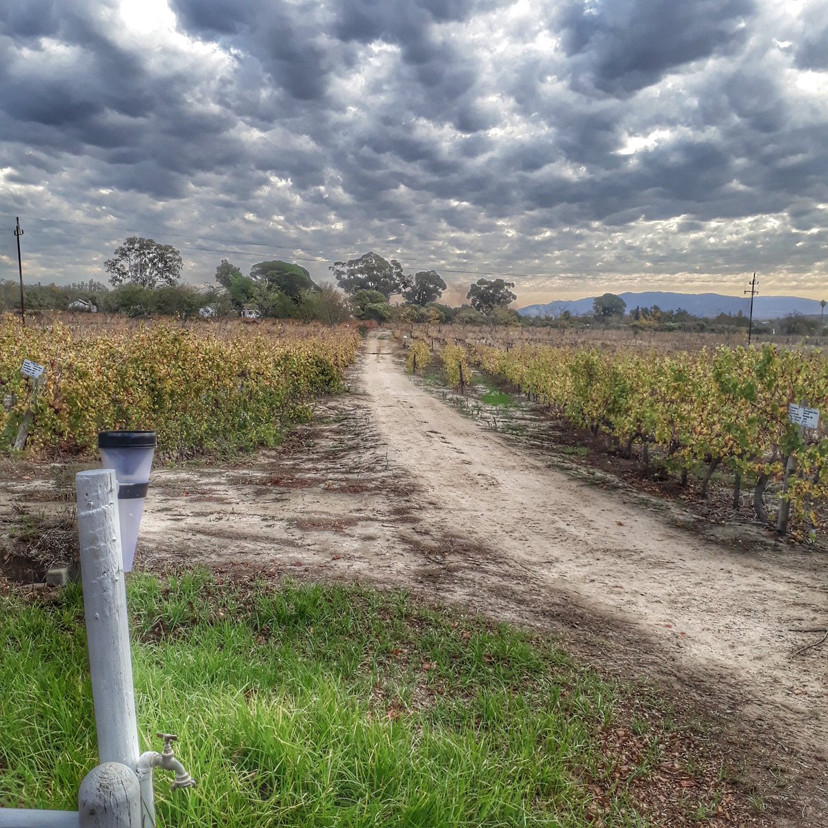 Calm before the storm. Stay safe everybody!