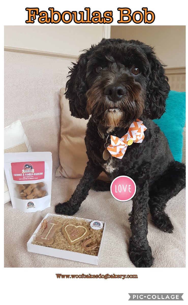 One spoilt pooch = One happy pooch ...we love to spoil them don't we ♡♡