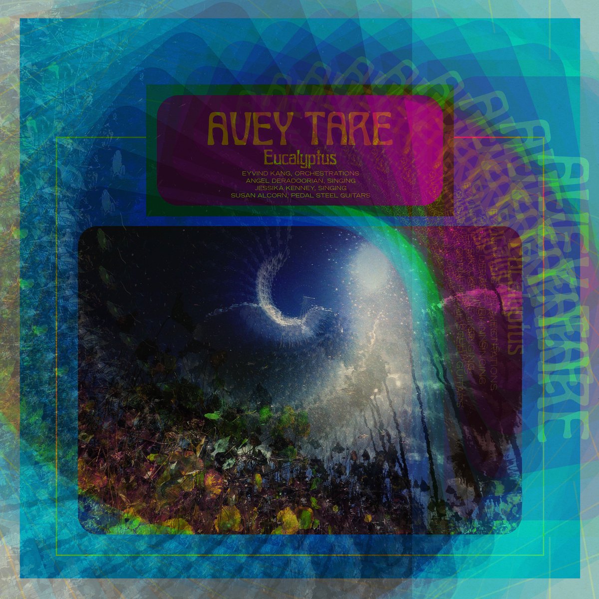 Avey Tare tweet media