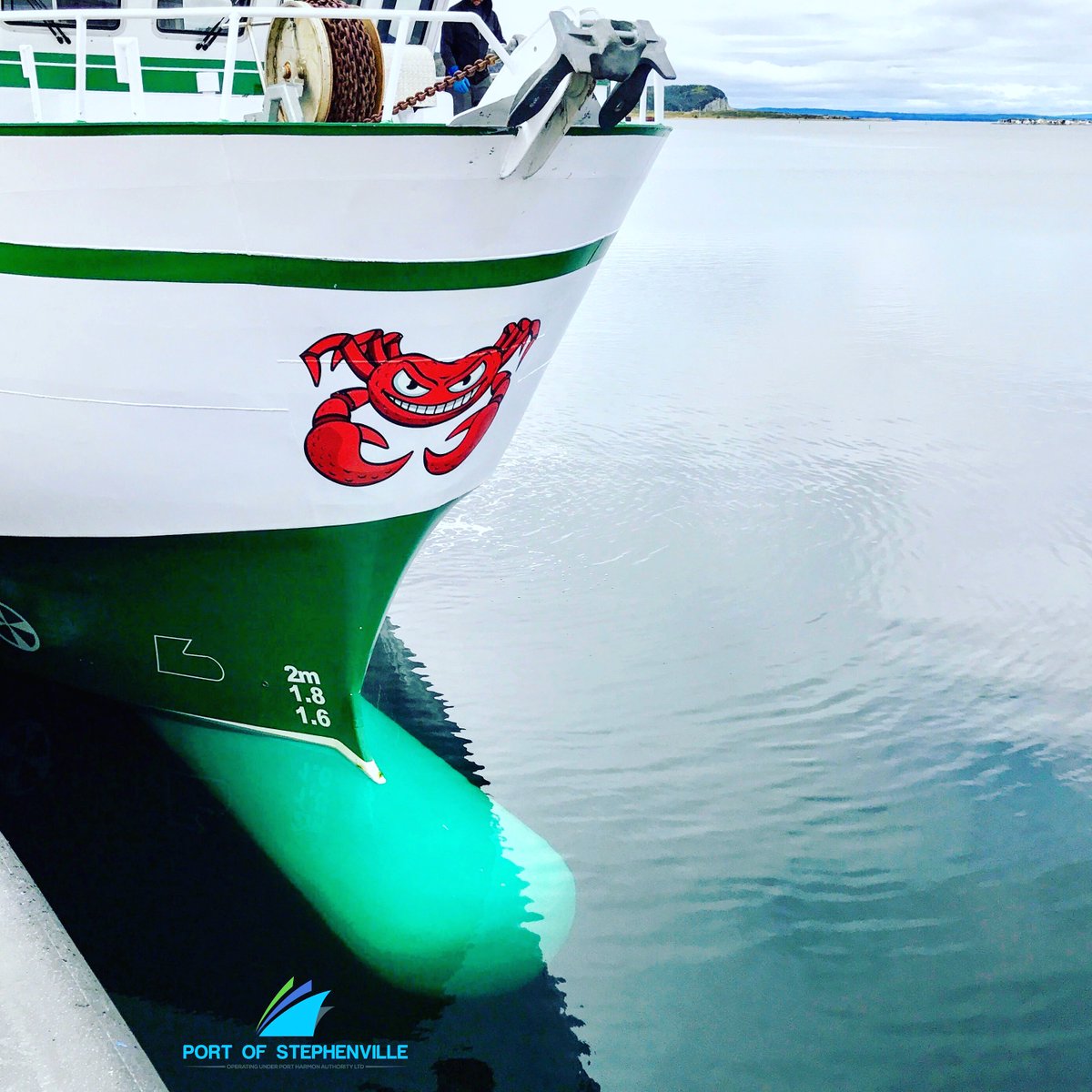Grinning crab on the vessel Bel Onil, a frequent visitor to the Port of Stephenville. #port #stephenville #newfoundland #fisheries #crab
