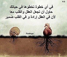 وهذه المشكلة عندما خطوت بقلبي وتركت عقلي اصبح الندم يلازمني