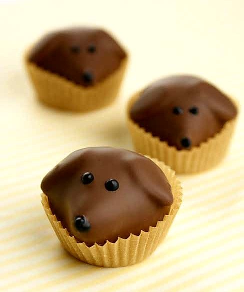 *Choc-Dogs*  @TwitterUK <a href="/ukdogs/">dogs.co.uk</a>