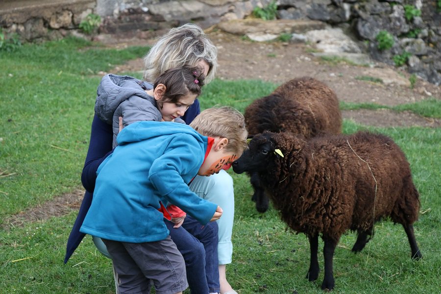 ZooCitadelle's tweet photo. #dreamnightzoo pour des enfants atteints de maladies génétiques rares et leurs familles dans les coulisses du @ZooCitadelle... https://t.co/h9q0XKGDTN