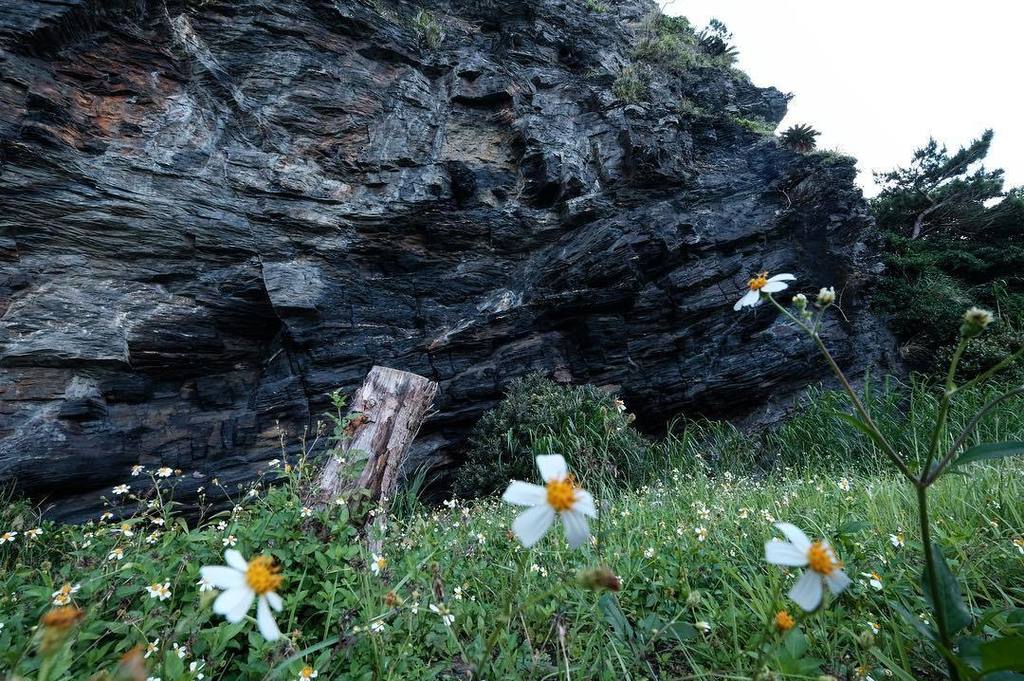 man_cm's tweet photo. 斷崖小花 
#zamami #藍色以外 #okinawa #landscape #nature #japan https://t.co/nyN1ebt1WK https://t.co/fXZHALesr6