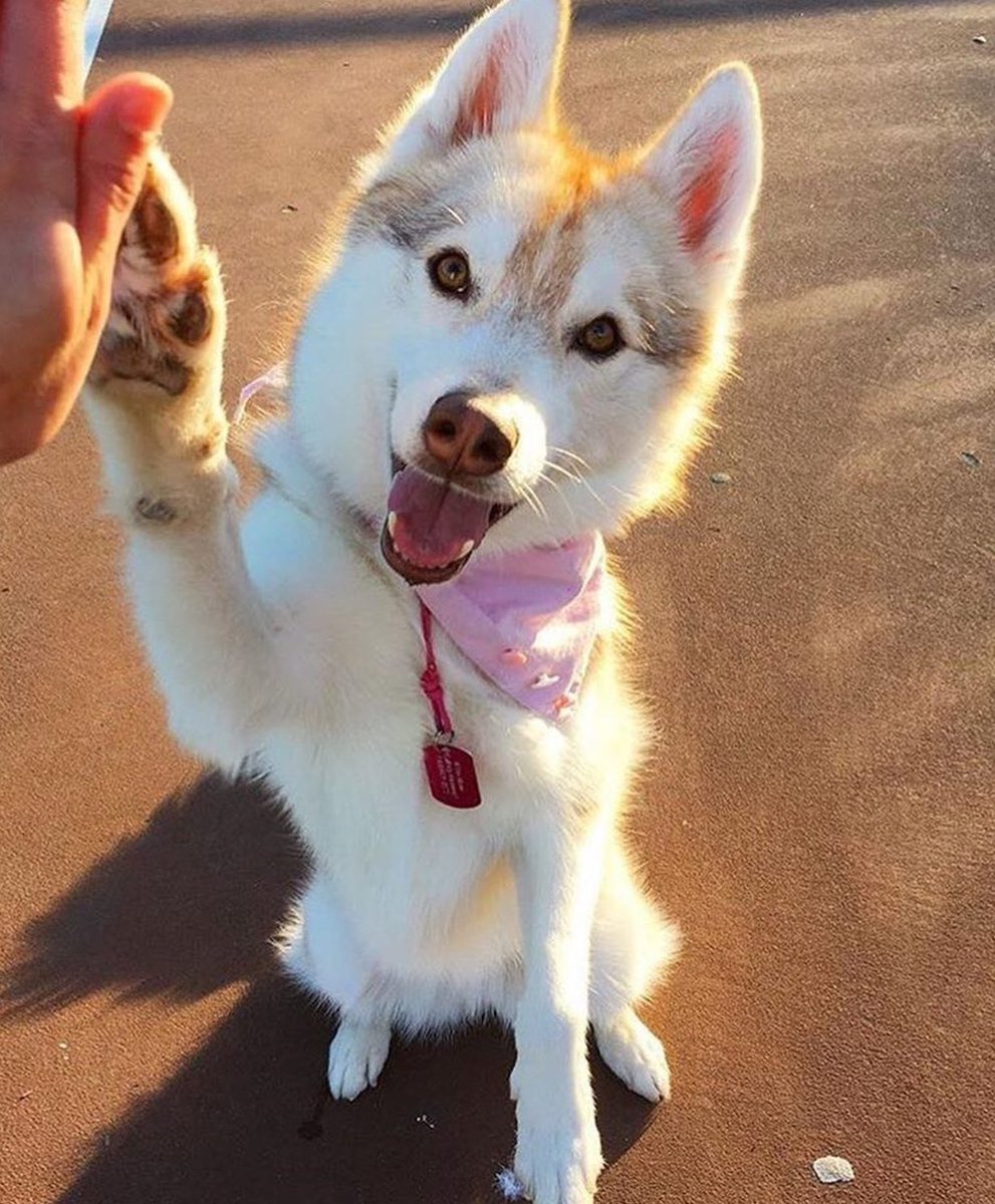 Wear Felicity tweet media