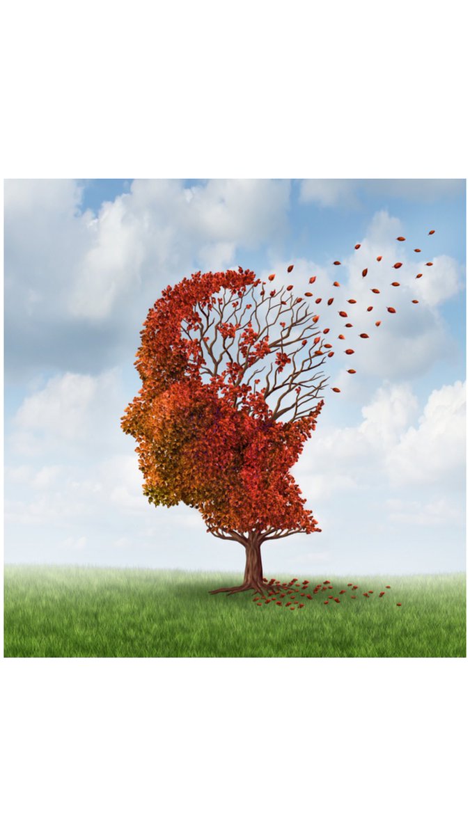 PersonMemorial's tweet photo. 1 in 10 people 65+ has Alzheimer's dementia. 
Visit https://t.co/dMsE67eOP9 and learn how you can join the fight  #IGoPurpleForACure https://t.co/BC6rtwPR8n